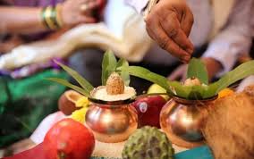 Premium Vastu Shanti Hawan