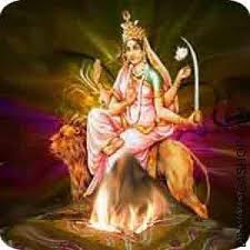 Basic Katyayani Hawan