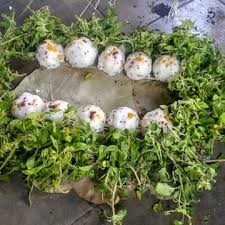 Standard Pitru Shanti Hawan