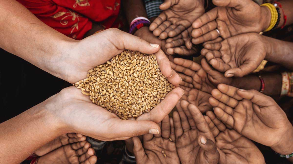 Online Donation in Hinduism: Donate to Temples, Gau Seva, Annadan & More with Bhaktinama
