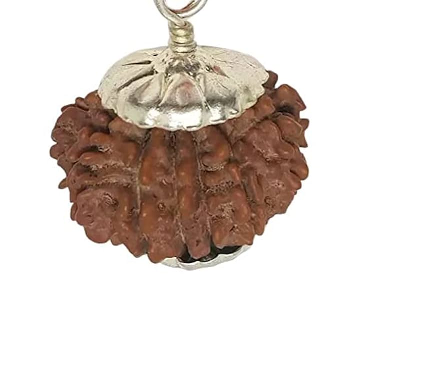 aath Mukhi Rudraksha