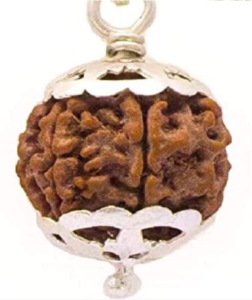 Panch Mukhi Rudraksha