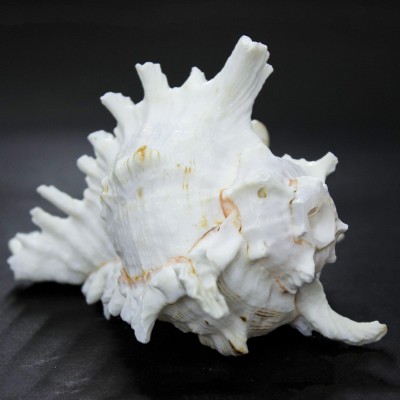 Brass Puja Thali Set